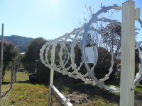 /album/scudogoiania/a197684-101353160009475-812166686-n-jpg/