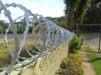 /album/scudogoiania/a246422-101342263343898-1757595553-n-jpg/