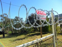 /album/scudogoiania/a1098117-321277714683684-1250722842-n-jpg/