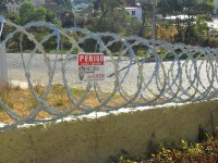 /album/scudogoiania/a1184983-321278451350277-1927892451-n-jpg/